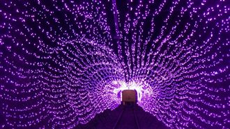 鐵道自行車夜光限定！心形隧道超浪漫