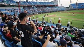 中職桃猿戰統一獅　5000球迷進場中華職棒16日在桃園棒球場進行統一7-ELEVEn獅隊與Lamigo桃猿隊賽事，桃猿舉辦主題活動「文青趴」，吸引5234名觀眾進場同樂。中央社記者張新偉攝　108年6月16日