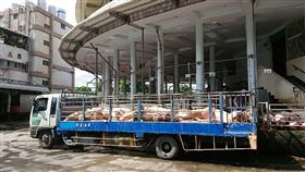 高雄市加強活體豬運輸車GPS設備稽查高雄市農業局1日起在多處肉品拍賣場進行運輸車輛GPS設備稽查，勸導未加裝業者改善，1個月內如未依規定安裝或故意未開啟GPS設備規避稽查，依法可處最高新台幣1萬5000元罰款。（高雄市動保處提供）中央社記者王淑芬傳真　108年7月1日