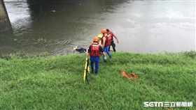 彰化縣花壇鄉石笱埤圳中女浮屍／翻攝畫面