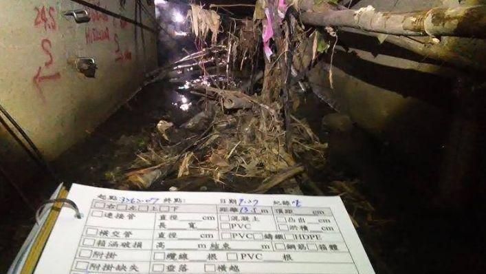 高雄下水道如暗黑古堡！佈滿樹枝垃圾