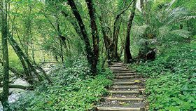 宜蘭林美石磐步道　7月重新開放全長約1.7公里、沿途有溪流瀑布及峽谷地形的宜蘭礁溪林美石磐步道，6月初因施工暫時封閉，經過近1個月整修後，7月1日起重新開放。（林務局羅東林管處提供）中央社記者沈如峰宜蘭傳真　108年6月30日