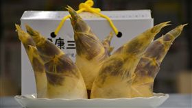 新北綠竹筍嚐鮮正當時（1）新北市綠竹筍進入盛產期，農業局林務科長黃嘉文29日表示，綠竹筍是夏季受歡迎的蔬菜，不僅清脆甜美，因富含纖維質、低熱量、零膽固醇，能促進腸胃功能，廣受消費者喜愛。中央社記者黃旭昇新北市攝　108年6月29日