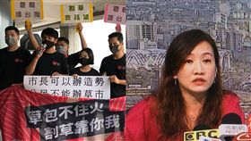 韓國瑜,割草,罷免,王淺秋,韓粉,夜襲