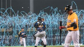 中華職棒總冠軍賽中信兄弟LAMIGO，陳禹勳 圖／記者林敬旻攝