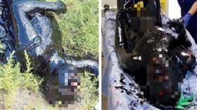 悚！他失足跌入瀝青池　險遭焦油「滅頂而死」。（圖／翻攝自VK）