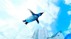 樂天市場,樂天旅遊,東京陽光水族館,Maxell Aqua Park,新江之島水族館,暑假,水族館
圖／翻攝自各水族館網站