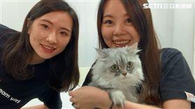 貓奴,狗奴,毛小孩,寵物,露天拍賣