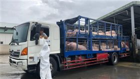 運豬車未加裝GPS  台南3天查獲4車違規台南市動物防疫保護處自7月1日起稽查活豬及屠體運輸車輛的即時追蹤系統（GPS），至3日為止查獲4車違規，已勸導改善。圖為稽查人員在肉品市場進行稽查與宣導。（台南市動保處提供）中央社記者楊思瑞台南傳真  108年7月3日