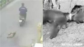 台中虐狗拖行1.1公里／資料照