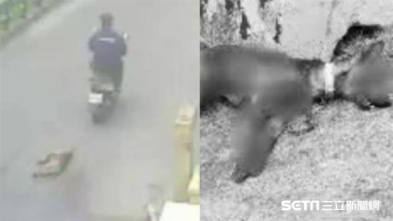 狗綁機車拖　皮磨爛慘死…兇手找到了