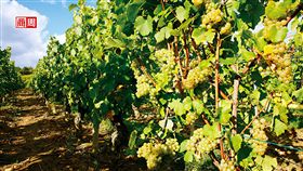 名家專用／商業周刊（勿用）