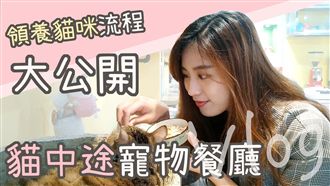 貓奴此生必去！　中途貓餐廳領養教學