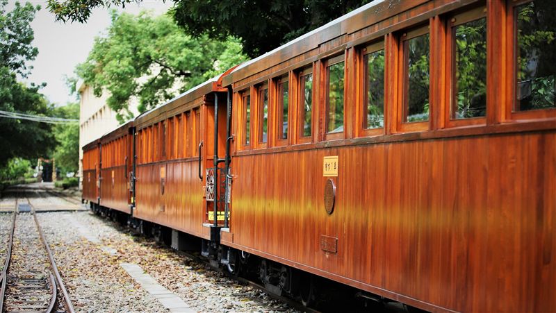 體驗林業文化　阿里山林鐵推檜木列車