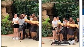 （圖／翻攝自每日郵報）新加玻,動物園,緬甸巨蟒