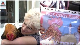什麼？公雞居然會被告！法國西部一處村莊中的居民菲索（Corinne Fesseau）在家中飼養一隻公雞，但卻因為早晨的雞啼太大聲，引來鄰居不滿，甚至按鈴控告這隻名叫莫里斯（Maurice）的公雞，而這起看似荒唐的訴訟案在昨（4）日開庭，引起不少法國人關注。（圖／翻攝自Ruptly YouTube）