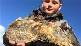 法國,巨無霸,牡蠣。(圖/翻攝自推特)