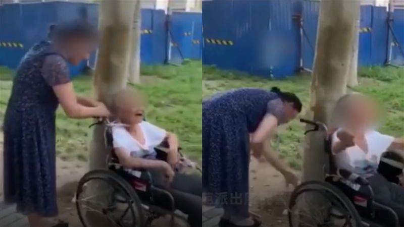 把輪椅翁綁樹幹　女看護嗆：家有急事