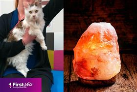 都是「鹽燈」惹的禍？小貓走路怪異、突失明耳聾　險丟小命
圖／First Vets 臉書