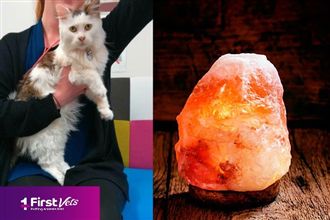 「鹽燈」舔上癮！小貓耳聾失明險喪命