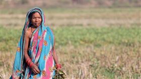 印度婦女
https://pixabay.com/