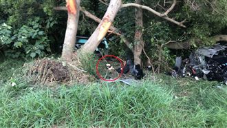 轎車飛出國道護欄撞樹　死者身分曝光