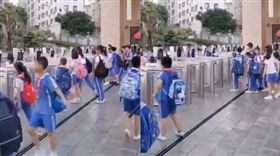 蔡正元發文，臉書