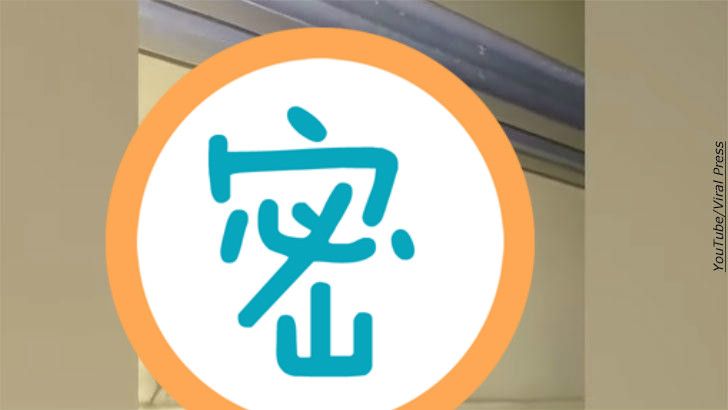 詭異生物倒吊半空中　網目睹全嚇瘋！