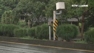 這根柴會轉向　半年閃萬張罰單奪冠