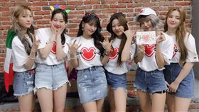 MOMOLAND (圖/推特)