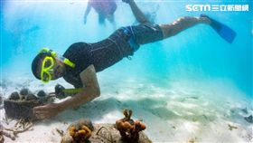 陳耀恩,Ean Chen,種珊瑚,魟魚餵食,馬爾地夫,悅榕度假村,海洋保育
勿用