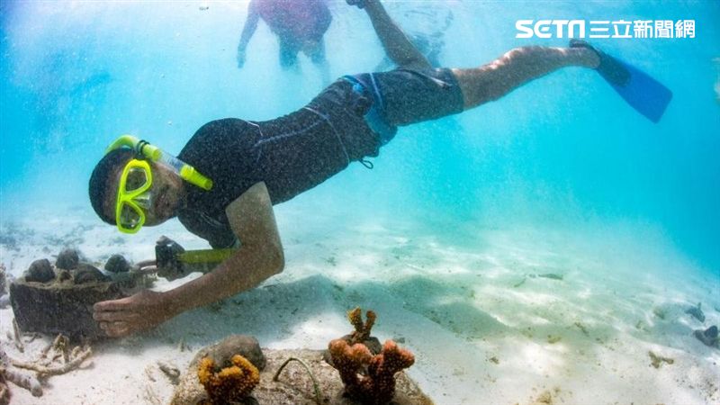 你嘗試過嗎？種珊瑚、野生魟魚餵食秀