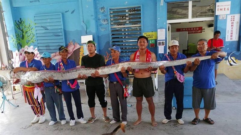 預測有地震？台東青年捕獲5米地震魚