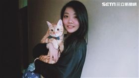 新北市動物保護防疫處,仔仔,八里動物之家,奶貓,動保員,郭瀞雅