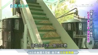 竹炭取代農業化肥　台灣技術獨步全球