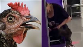 中國,重慶,地鐵,殺雞（合成圖／取自Pixabay,梨視頻）