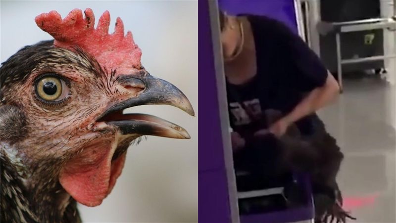 大媽帶活雞搭地鐵！現場進行血腥殺雞