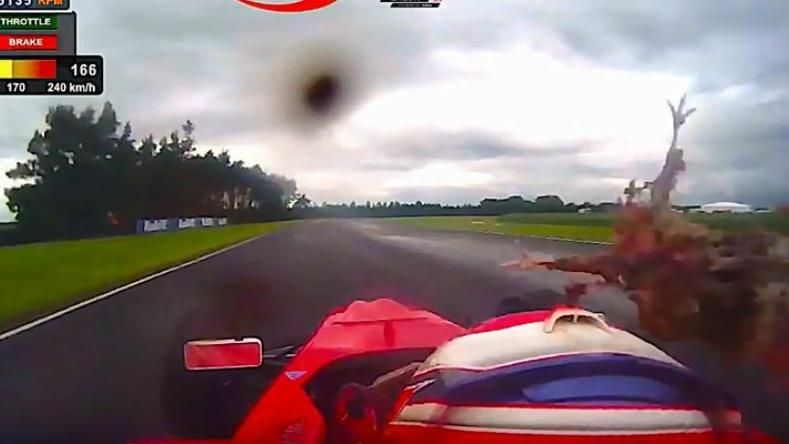 雞攻擊之術！賽車手飆速…野雞擊中臉