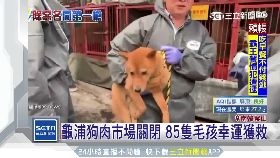 文 韓關屠狗場1700