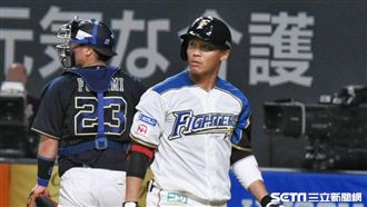 日職/羅德、火腿比大支 大王靜悄悄