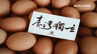 被高雄觀光文宣盜圖　作家怒嗆潘恆旭