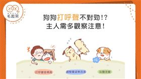 名家專用／毛起來MAOUP（勿用）