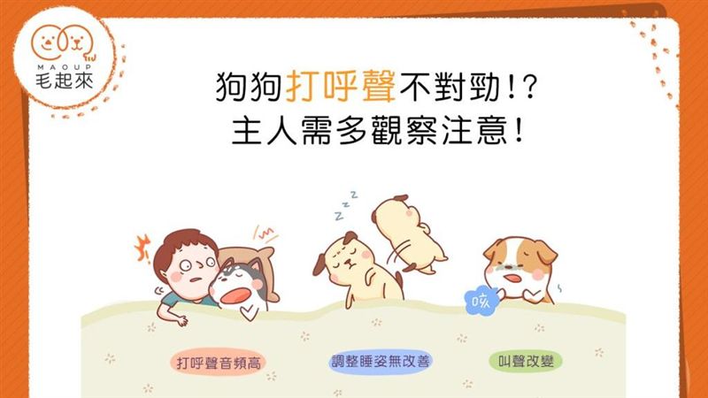 狗狗打呼聲不對勁！？千萬別輕忽！