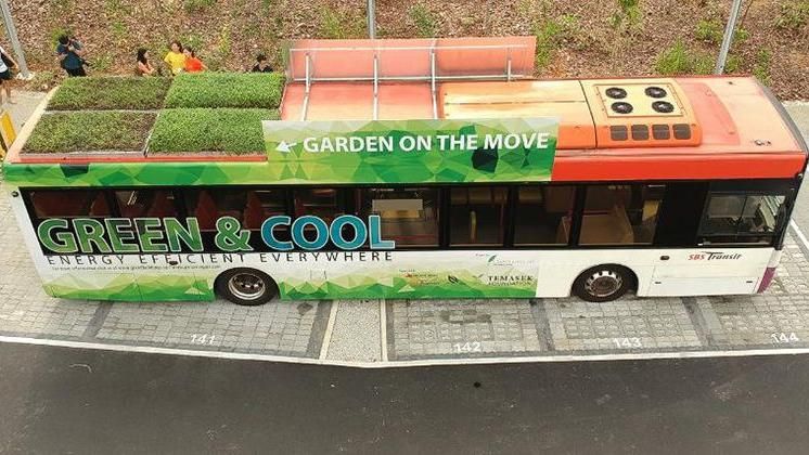 帶著花園跑的公車