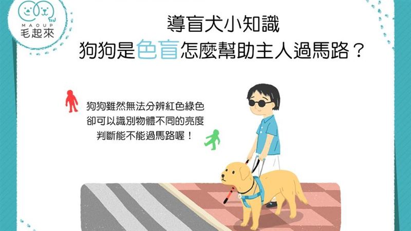 咦 狗狗是色盲那怎麼幫助主人過馬路呢 名家 三立新聞網setn Com