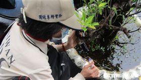 疾管署防疫人員前往三民區寶民里執行孳生源查核。（圖／疾管署提供）