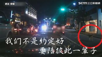 飼主將狗推下車落跑　網批：太狠心