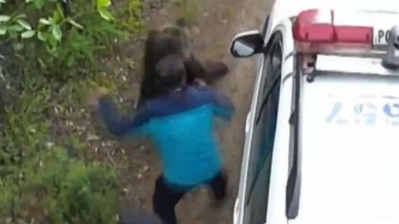 森警救受傷棕熊突遭反撲　驚險畫面曝