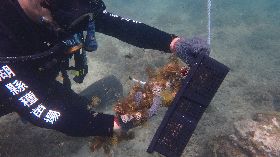 自主設禁漁區  馬公烏崁社區可勘借鏡