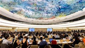 聯合國人權理事會（UNHRC）（圖／翻攝自推特）